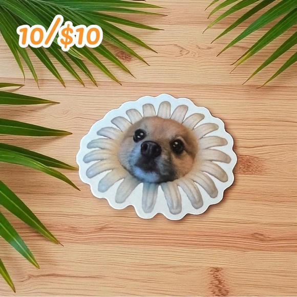 Daisy Dog Face Funny Meme Sticker 🌼 – Approx. 2 3/4” - Picture 1 of 1
